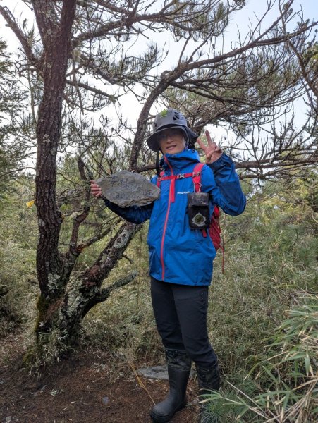 卯木山_小完美谷_畢祿山3045014