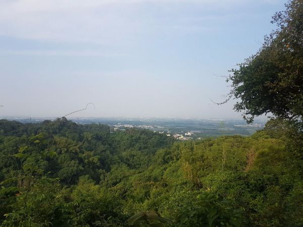 林內龍過脈森林步道182802