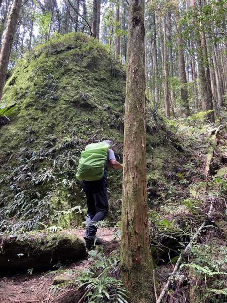 蓮包山、外鳥嘴山、那結山、貴妃山、水田林道O 型縱走1673043