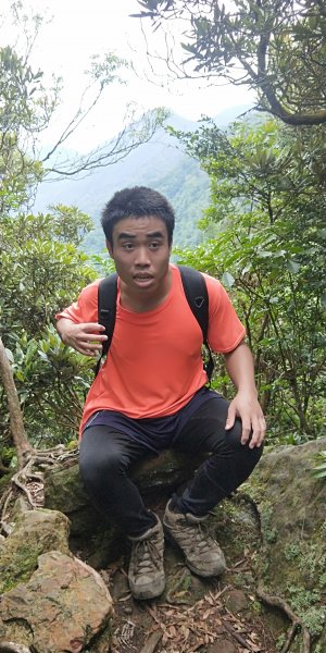 內鳥嘴山，北得拉曼神木群步道，瀑布初體驗1062601
