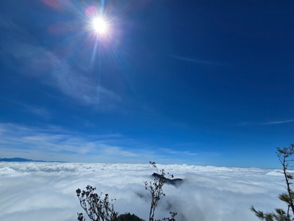 鳶嘴山雲海季開動嘍2634279