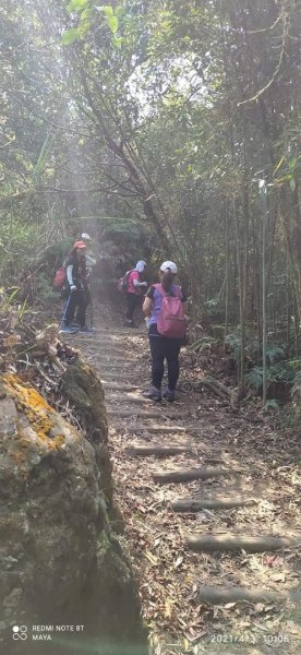 馬那邦山登山步道、雪霸國家公園1332529