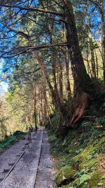 見晴懷古步道2940581