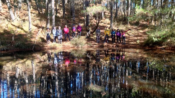 五星級松針步道的平多縱走2837833