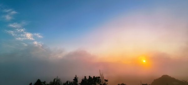 雲山水花鳥蝶-天龍國阿伯的日常 #艷紅鹿子百合 #大鳳蝶 #玉帶鳳蝶2863896