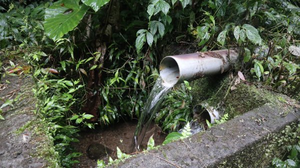 冷埤登山健行趣2447550