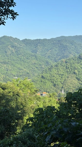 美濃雙溪樹木園（九芎林山2905628