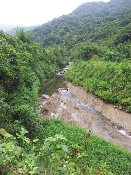 104.06.06 大粗坑步道 到 貂山古道190117