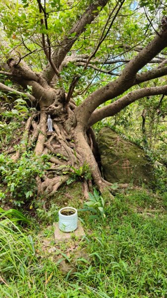 叮叮叮：一個人的微笑山線😊2917417