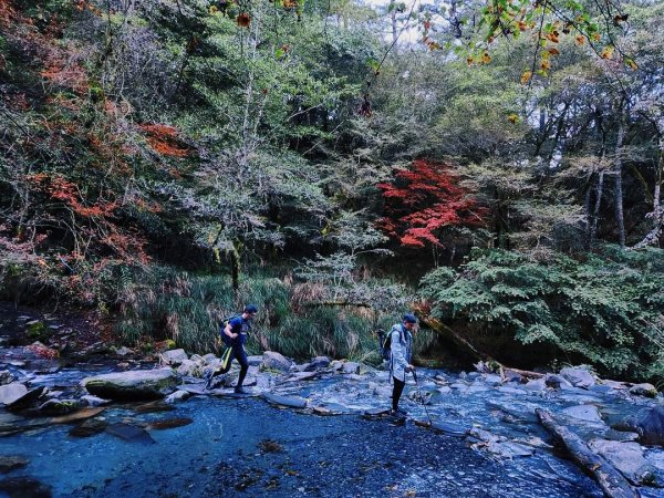 111.11.12一日屏風12.5H1921336