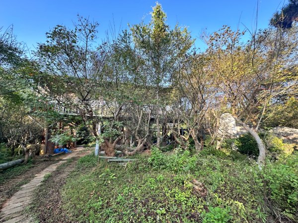 苗栗頭屋-墨硯山步道2613664