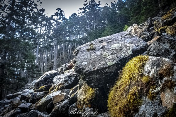 雪山主峰一日單攻963325