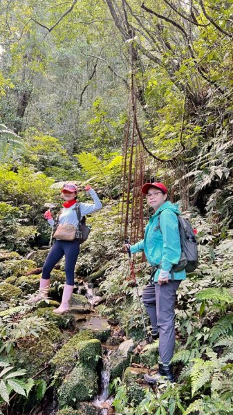 20260104源茂山.源茂山西峰.和尚髻山O走+親水觀魚步道2977782