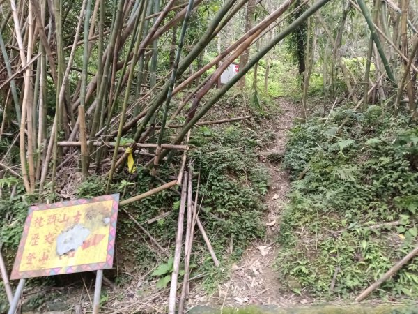 枕頭山-枕頭山西峰2733952