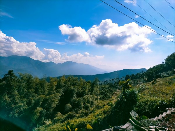 雲嘉連峰2365744