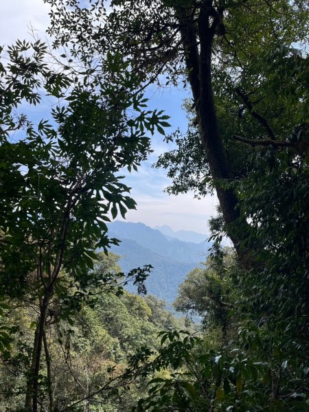 2024/3/23稍來山2738281