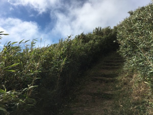 20191130_向天池-向天山-面天山758318