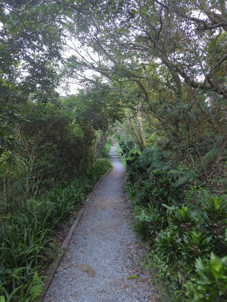 2025.06.15－烘爐地2813398