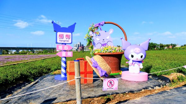 富岡仙草花2942405