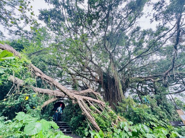 北壽山走壽山(小百岳#77) 龍泉寺起登出千光宮2934462
