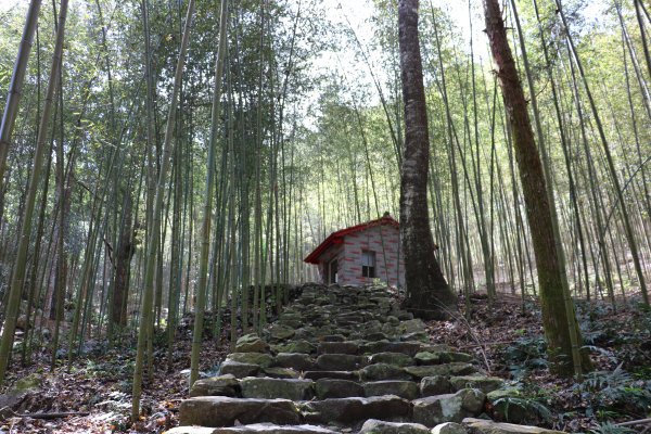 森呼吸。 八仙山國家森林遊樂區 封面