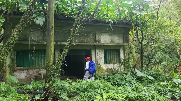 2025-01232淡蘭古道北二段(燦光寮古道到澳底)2696563