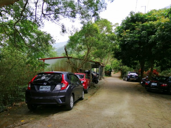 台南白河~台南第一高峰。 關仔嶺大凍山917806