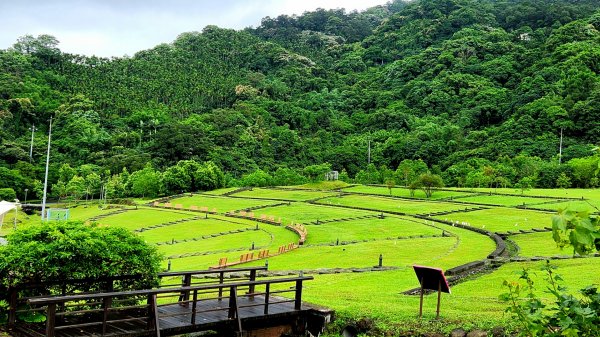 炮子崙瀑布，炮子崙古道，土庫岳，山豬窟尖，小南港山，山水綠生態公園，汐止三秀山，拱北殿後山步道2169988