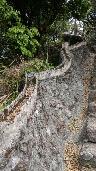 內湖大溝溪 圓覺瀑布 白石吊橋 鯉魚山882838