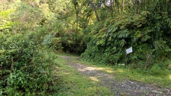 雙溪區三分二山-烏山古道東段-烏山1號O型3047436