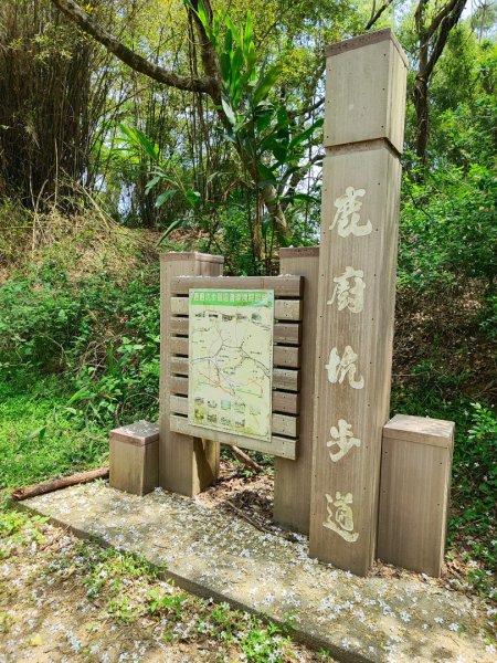 造橋車站-口山古道-鹿廚坑步道3039838