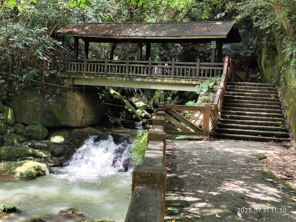 圓覺寺步道→新福本坑→碧湖步道→碧山公園→國立臺灣戲曲學院→碧湖公園→大港墘公園【臺北健走趣】2849251