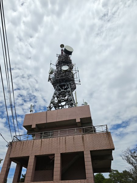 [微笑山線_第一段] 2026_0725 大棟山系_大同山3101734