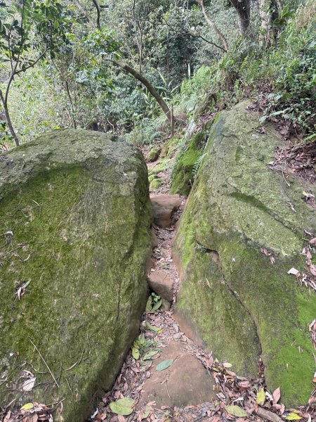 鶯歌石步道小O型路線3036051