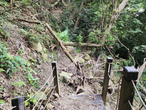 20240721泰安登山步道登七塊山2599948