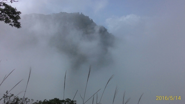 20160514新竹尖石北得拉曼山39653