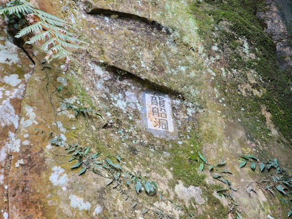 小百岳No.12⛰汐止大尖山2751662