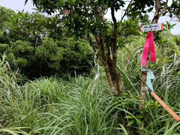 瑞芳區找尋半屏大瀑布未果2880949