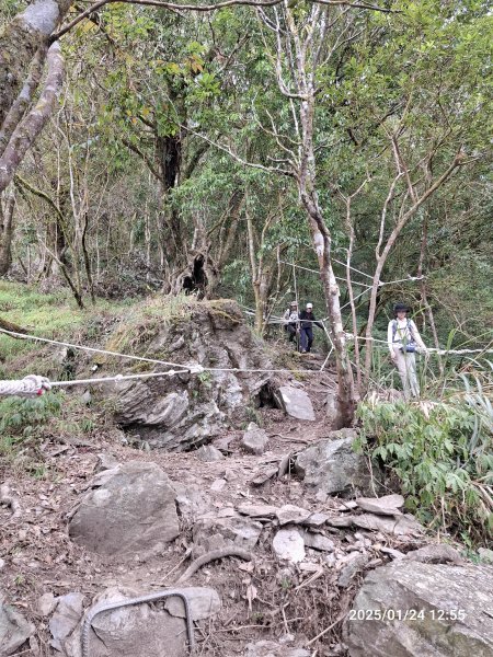 2025.01.24~26 北大武山 三天兩夜〈雲海、夕陽、檜木、鐵杉、藍天...〉2700327