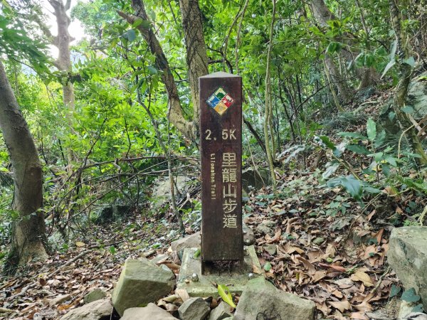 小百岳No.80⛰里龍山2776340