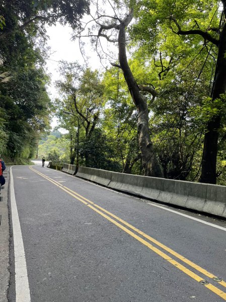 環七星山人車分道2121311