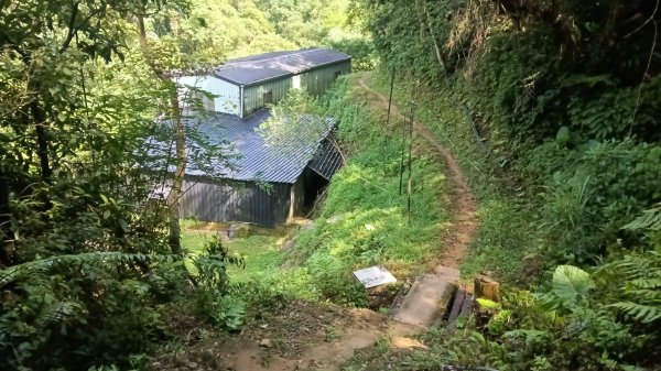 平溪區碩仁里-幼坑古道-幼坑山-幼坑山南鞍-大平林山-番子坑生態園區-番子坑3086154