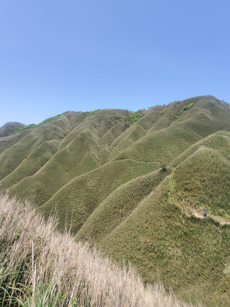 宜蘭抹茶山（巴唐古道上三角崙山，聖母山莊）