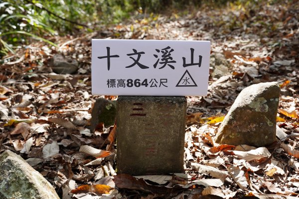 臺中 和平 屋我尾山、十文溪山2699450
