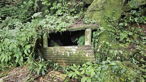 20250804溪山百年古圳-鵝尾山水田路-平菁步道O型2854791