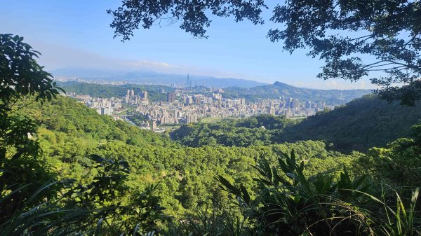 20251003高麗坑山-新高麗坑山-高麗坑山西北峰2903120