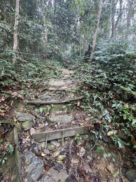 20251227尾寮山登山步道2970517