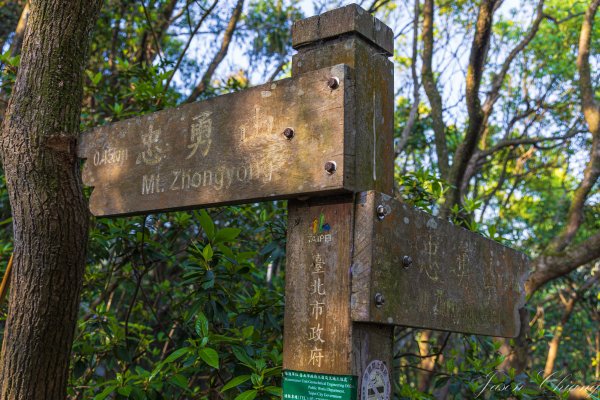 [台北]大崙頭山、碧山巖、忠勇山2746210