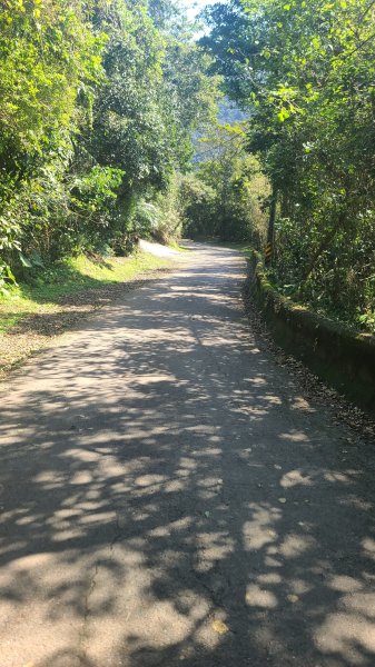 2025-0130溪和宮-大崎頭步道-鵝尾山-平溪步道-鵝尾山水田-42巷-溪山百年古圳-平菁步道2701881