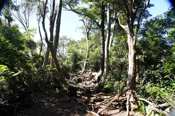 新竹 尖石 貴妃山、那結山2913600